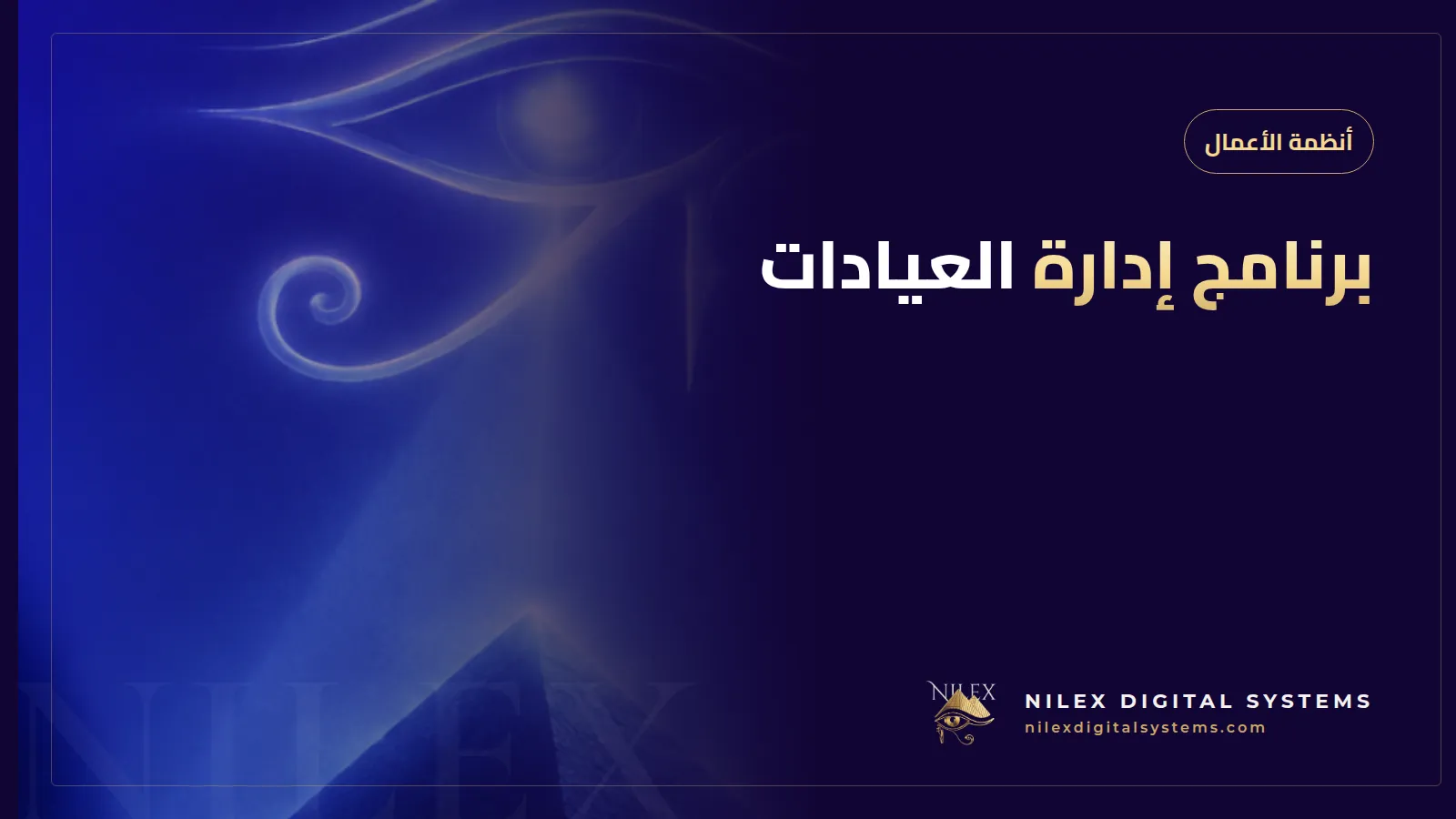 رسم توضيحي للوحة برنامج إدارة عيادة تعرض جداول الأطباء وملفات المرضى والمدفوعات