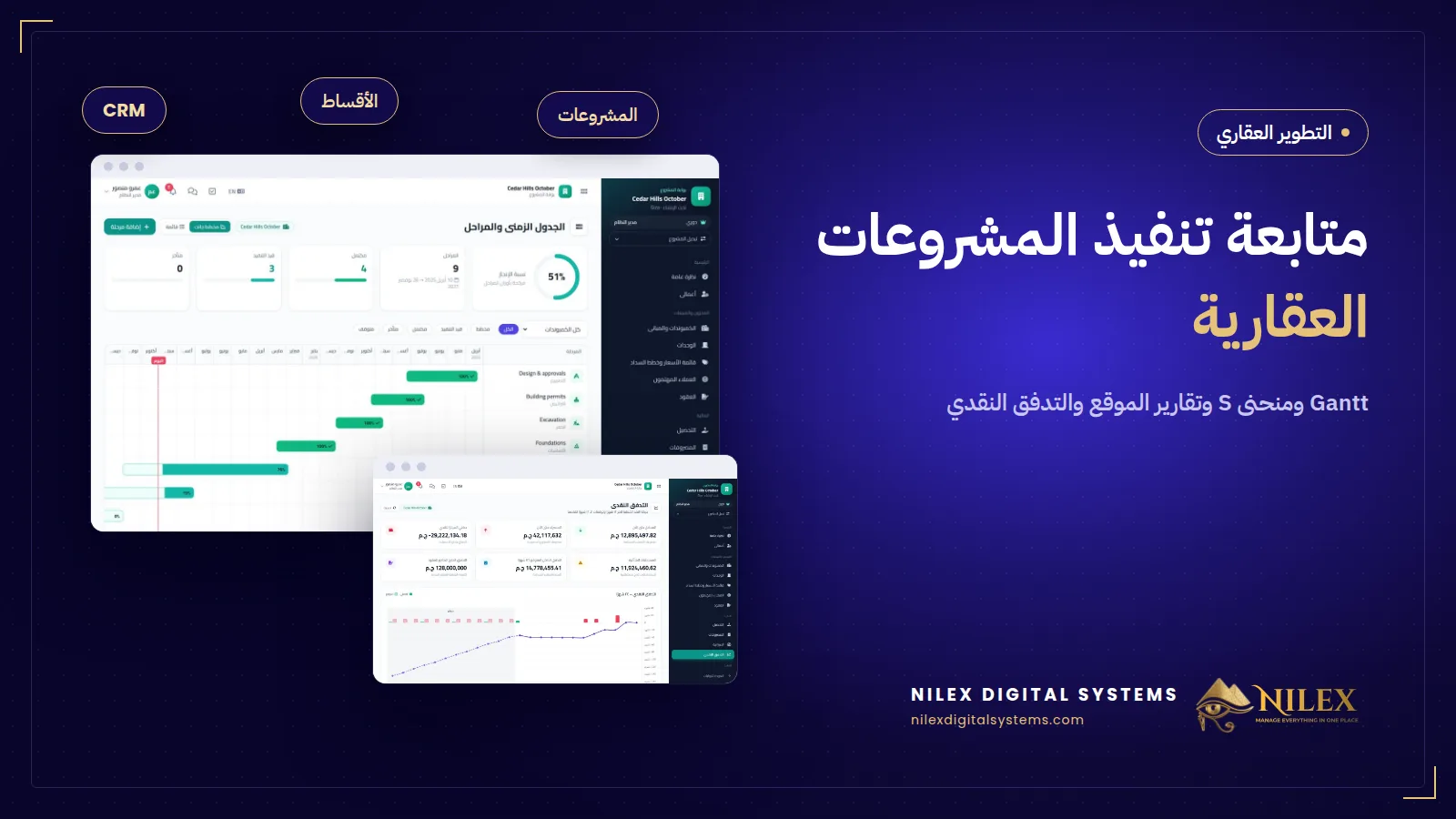بوابة مشروع فيها جدول Gantt ومنحنى S للمخطط مقابل الفعلي وتدفق نقدي لـ 24 شهر