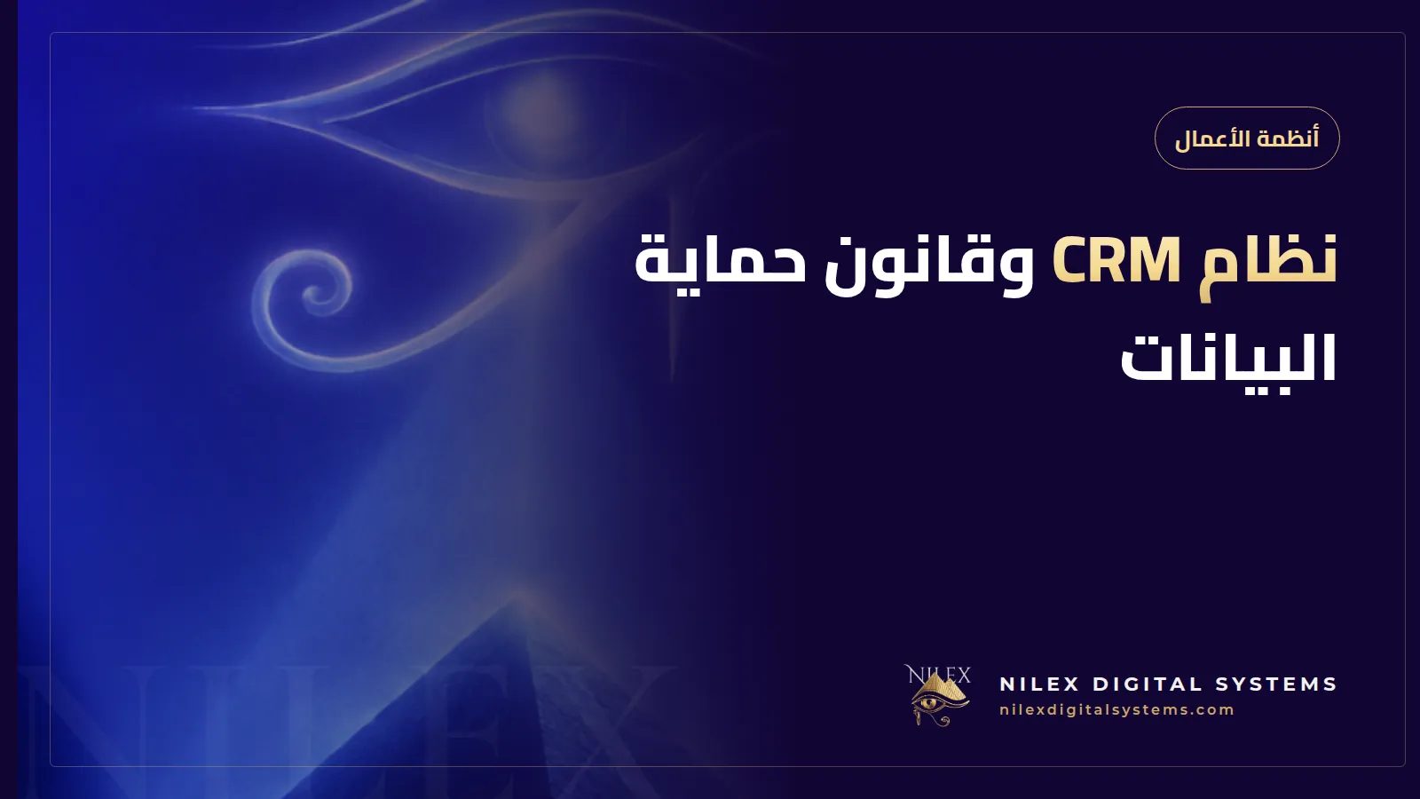 رسم توضيحي لملف عميل في نظام CRM يظهر حالة الموافقة وتاريخ الحفظ وأيقونة قفل الصلاحيات