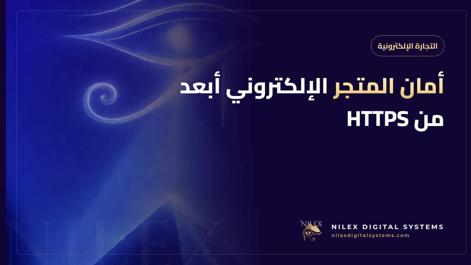 رسم لمتجر إلكتروني محمي بدروع متعددة لصفحة الدفع ولوحة التحكم وحسابات العملاء والسيرفرات