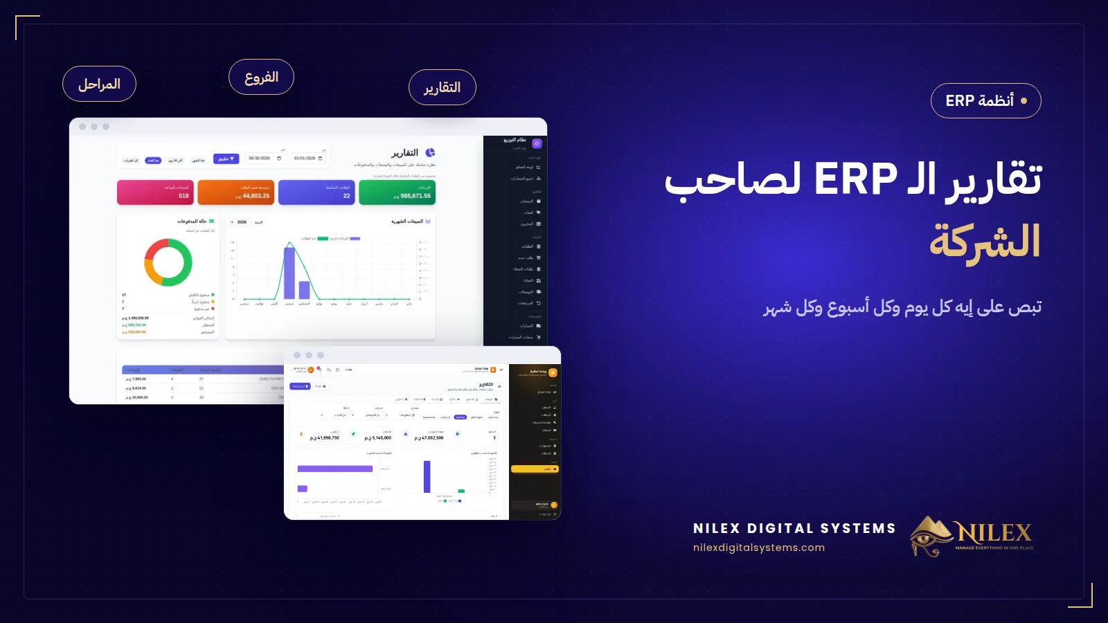 لوحة تحكم صاحب الشركة في سيستم ERP فيها المبيعات والتحصيل والخزنة وتنبيهات المخزون والهوامش