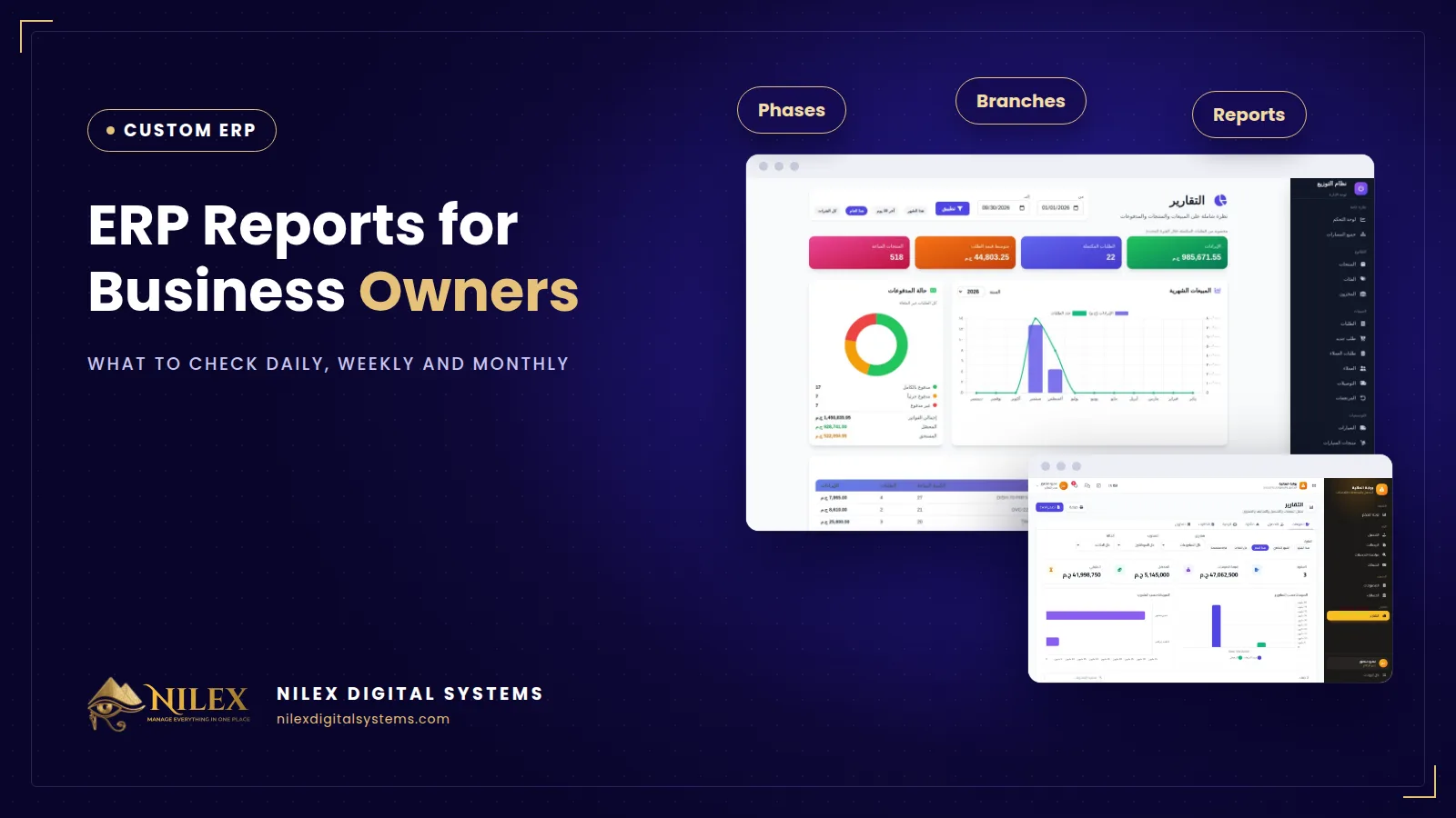 Owner dashboard in an ERP showing sales, collections, cash, stock alerts and margins