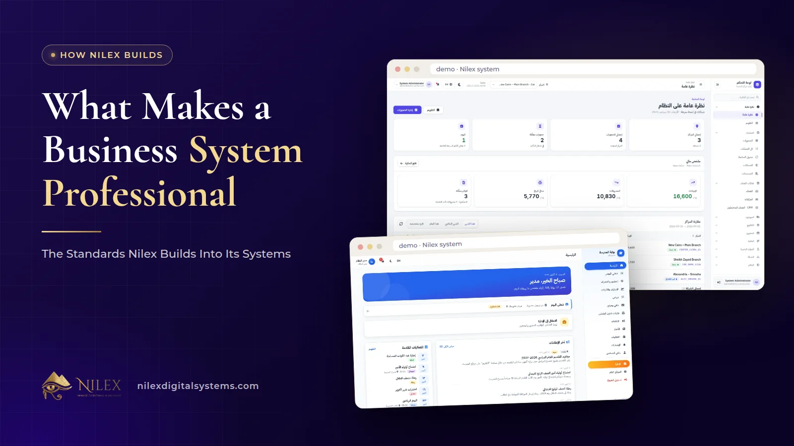 Nilex system screens side by side: a branch dashboard, a role portal, a PDF report and the audit log