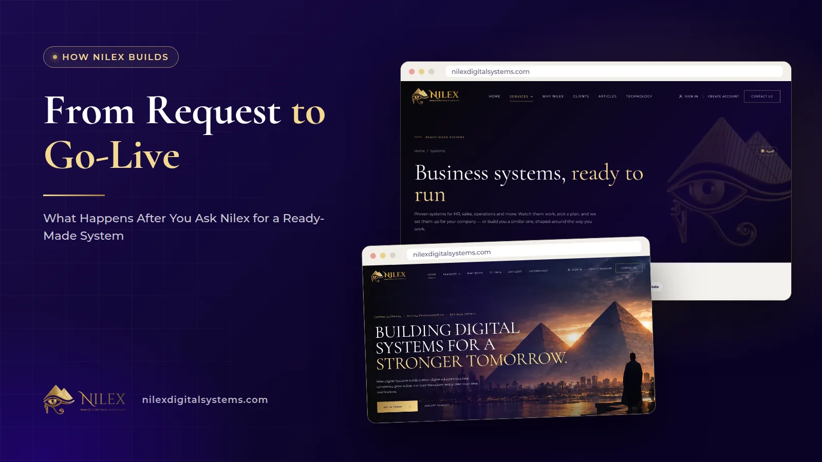 A Nilex system page showing the demo video, the plans and the request form used to ask for a ready-made business system