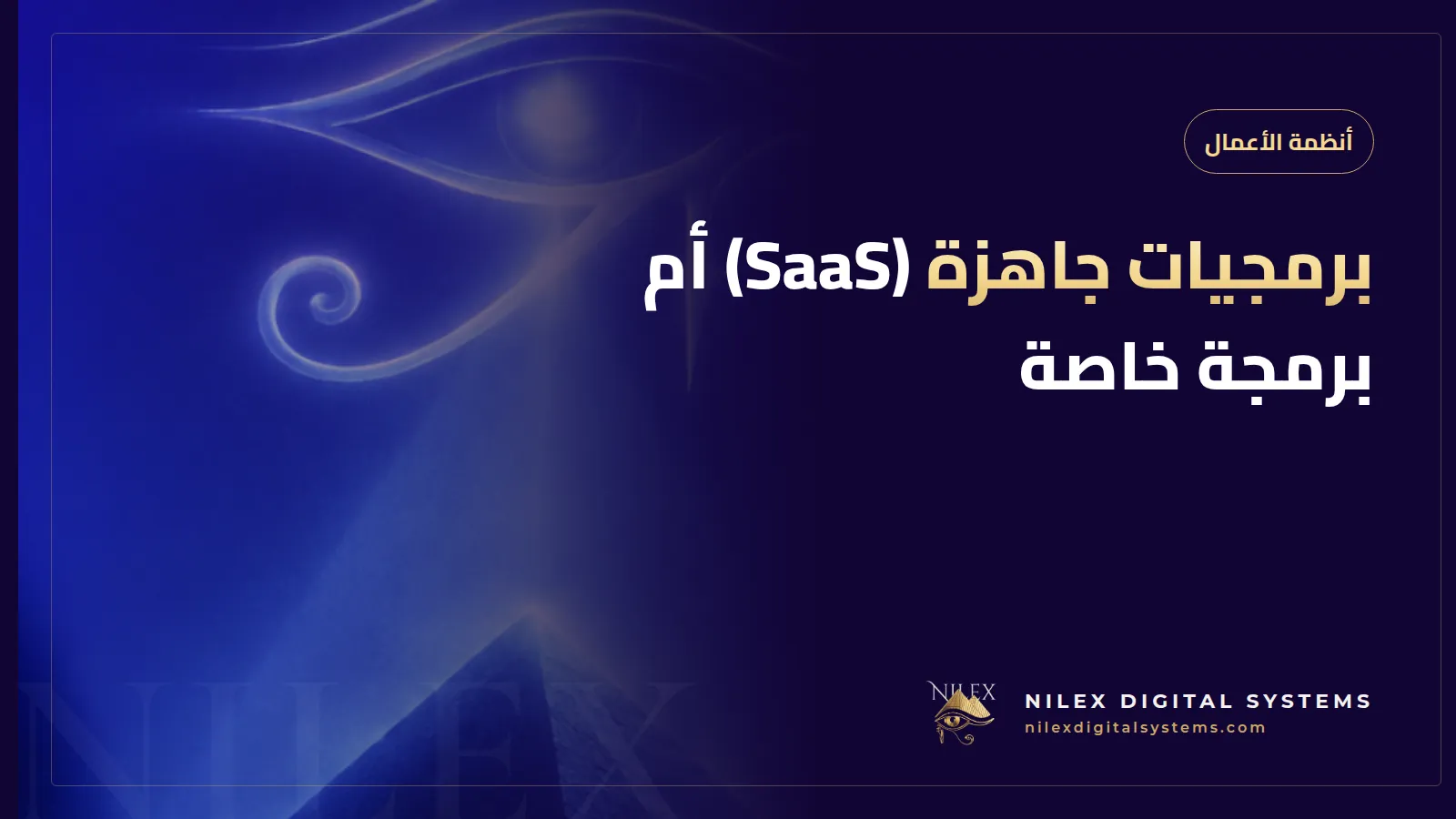 رسم لميزان يقارن اشتراك برنامج جاهز SaaS بنظام أعمال مبرمج خصيصاً