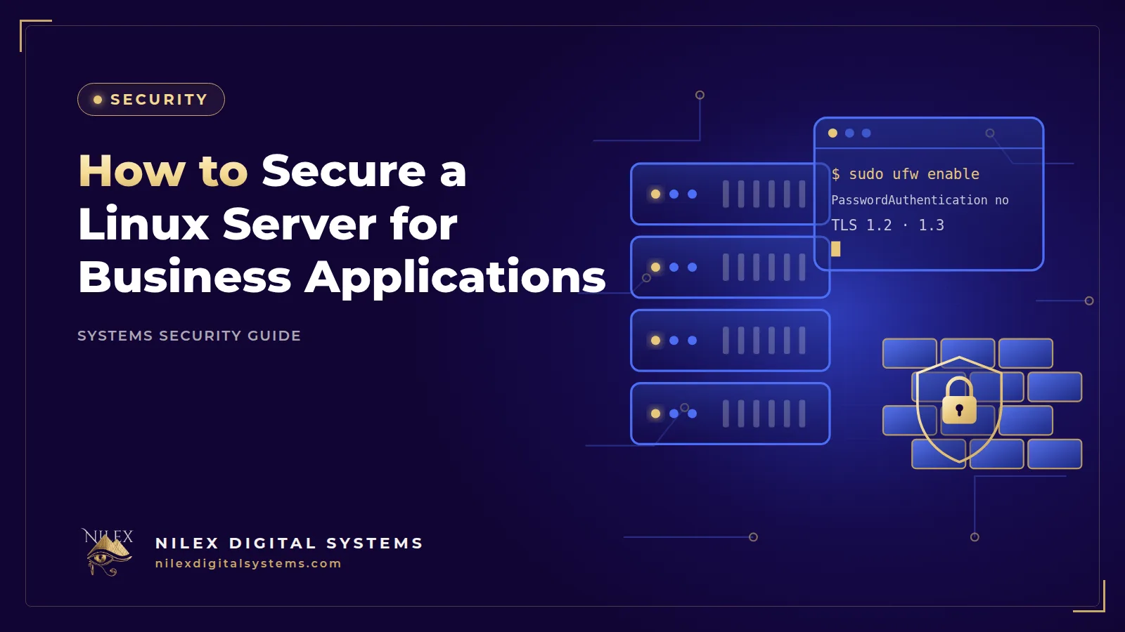 Illustration of an Ubuntu server rack protected by a firewall, an SSH key and a TLS padlock in front of Nginx