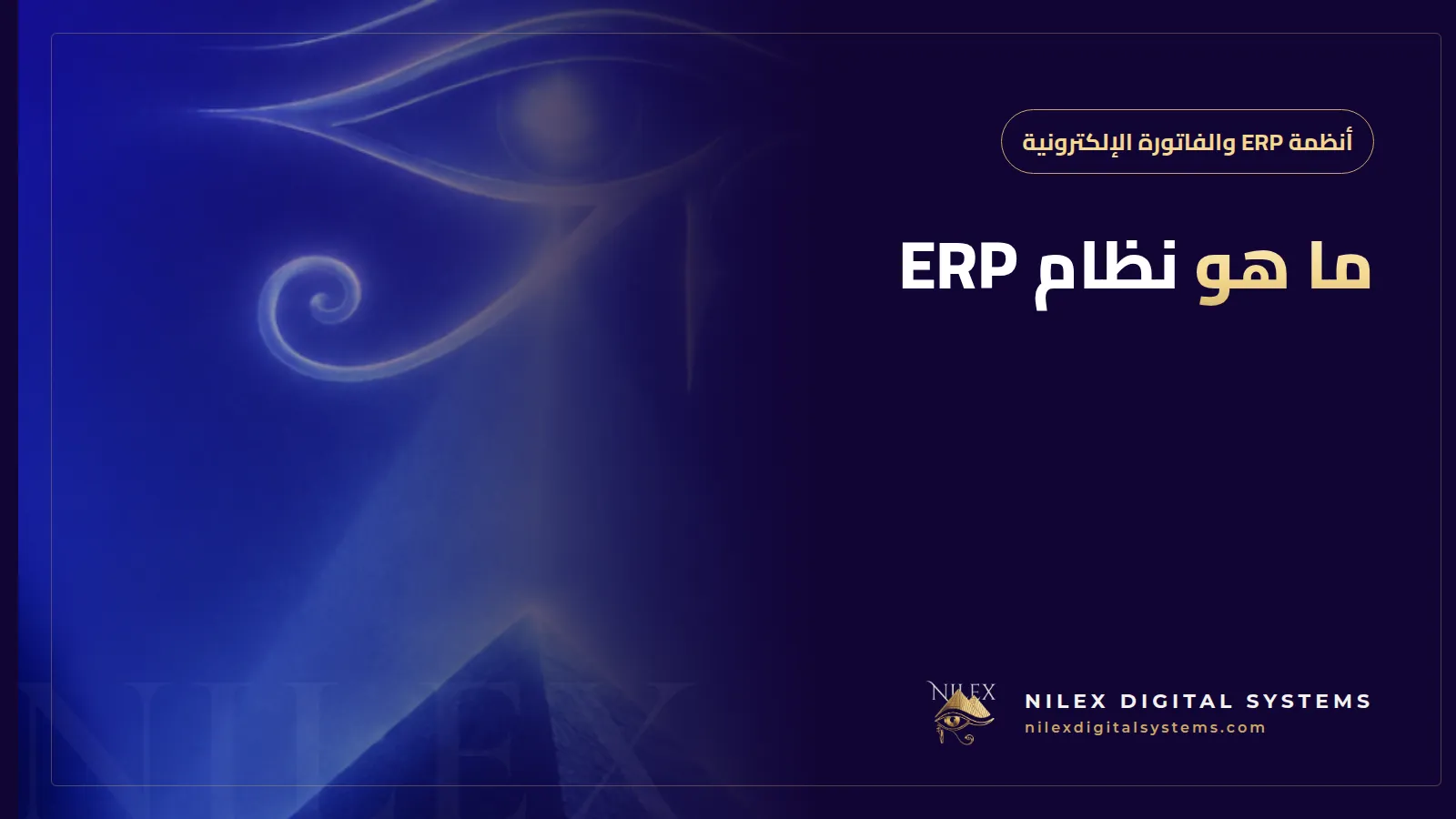 رسم توضيحي للوحة نظام ERP تربط المبيعات والمخازن والحسابات وشؤون العاملين في شركة مصرية