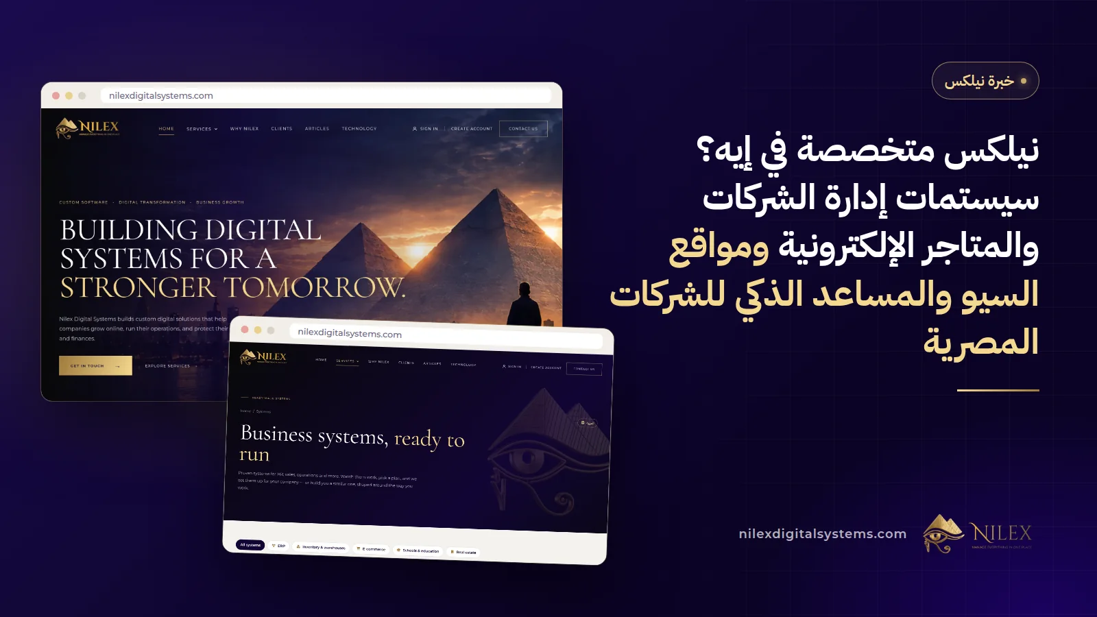 شاشات من نيلكس جنب بعض: لوحة تحكم سيستم إدارة ومتجر إلكتروني وموقع شركة ومحادثة مع مساعد ذكي