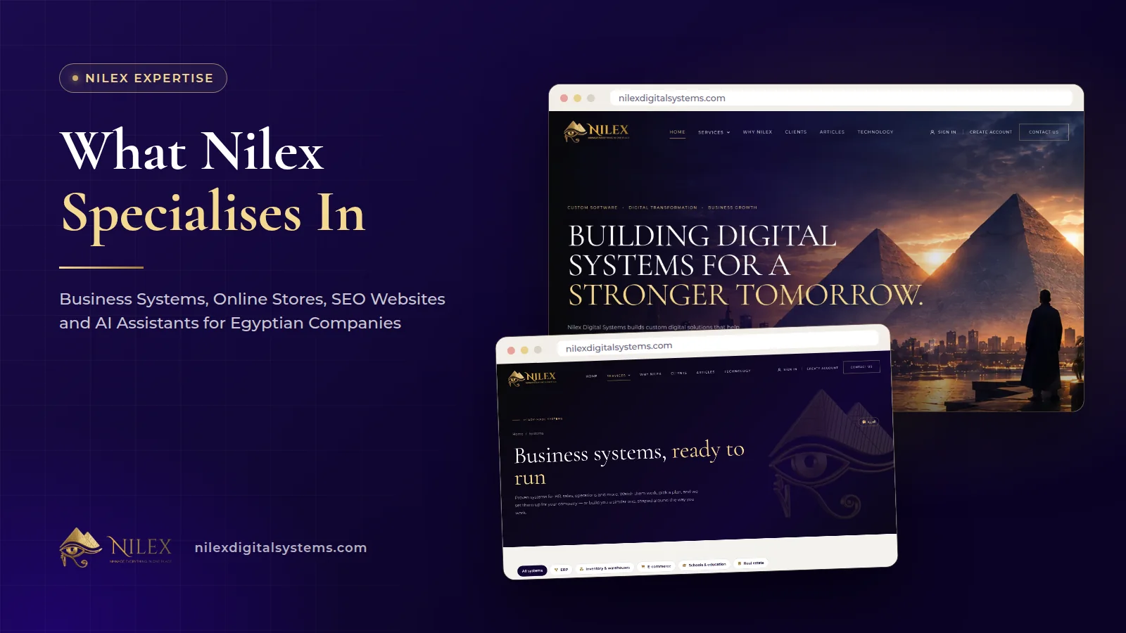 Nilex screens side by side: a business system dashboard, an online store, a company website and an AI assistant chat
