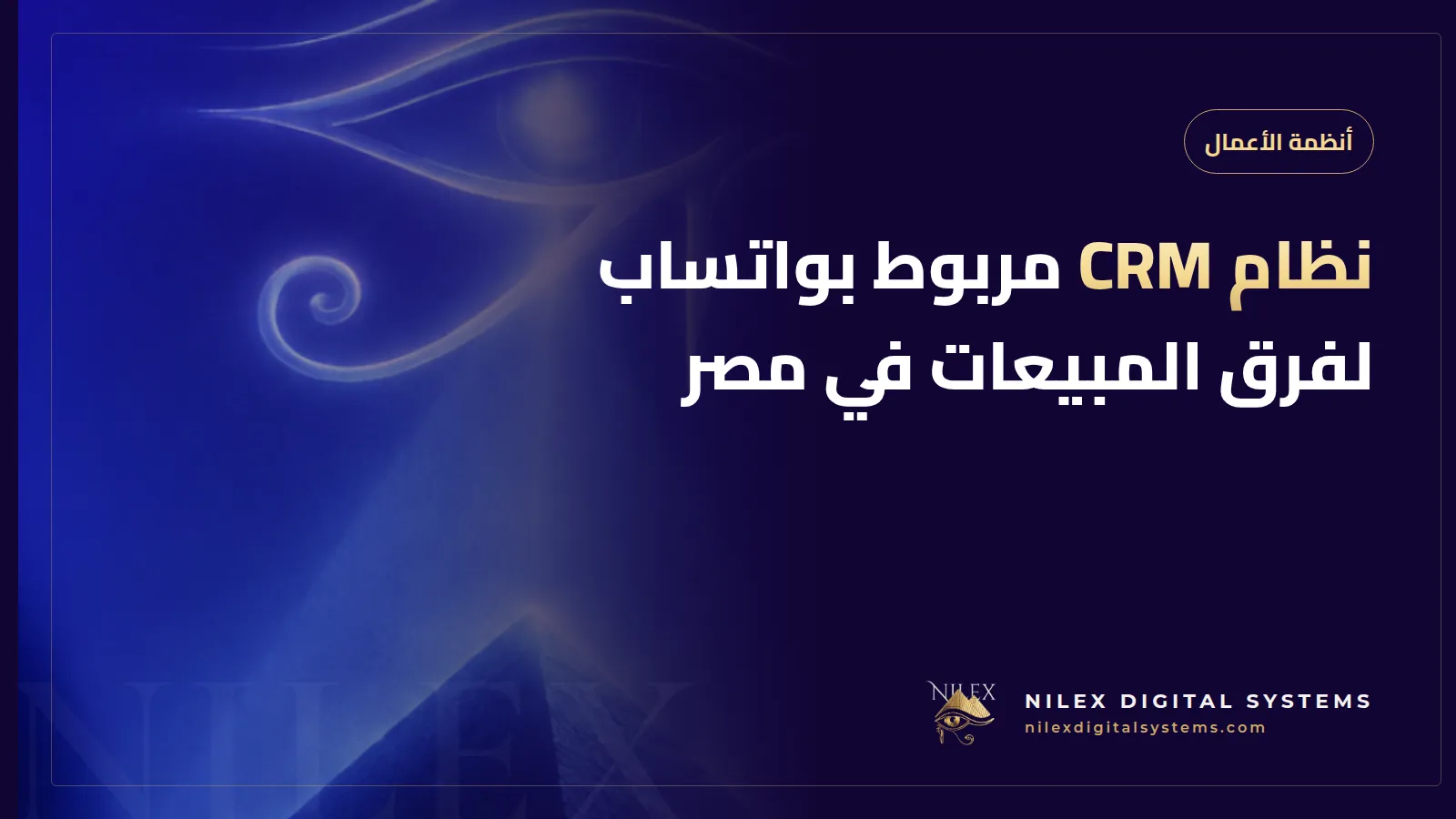 رسم توضيحي لمحادثات واتساب تدخل صندوقاً مشتركاً في نظام CRM وتوزع على أفراد فريق المبيعات