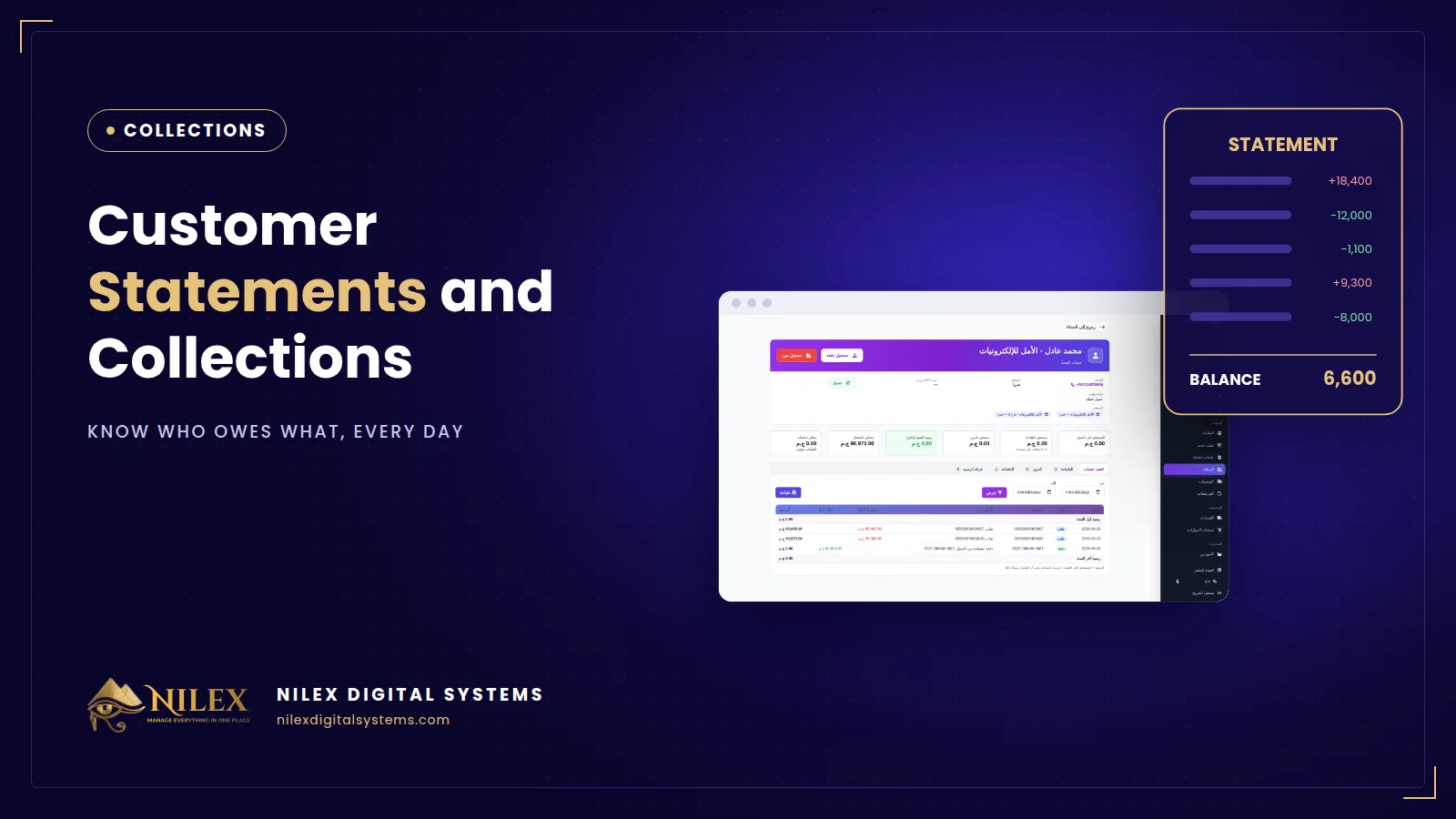 Customer statement with orders, payments and running balance in a wholesale distribution system