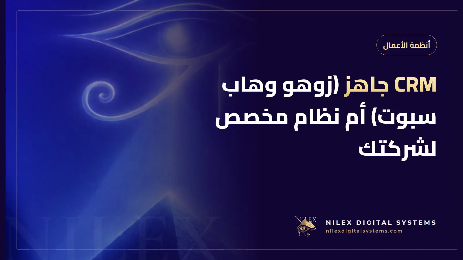 رسم يقارن لوحة CRM جاهزة بنظام CRM مخصص مربوط بنظام ERP وواتساب والحسابات