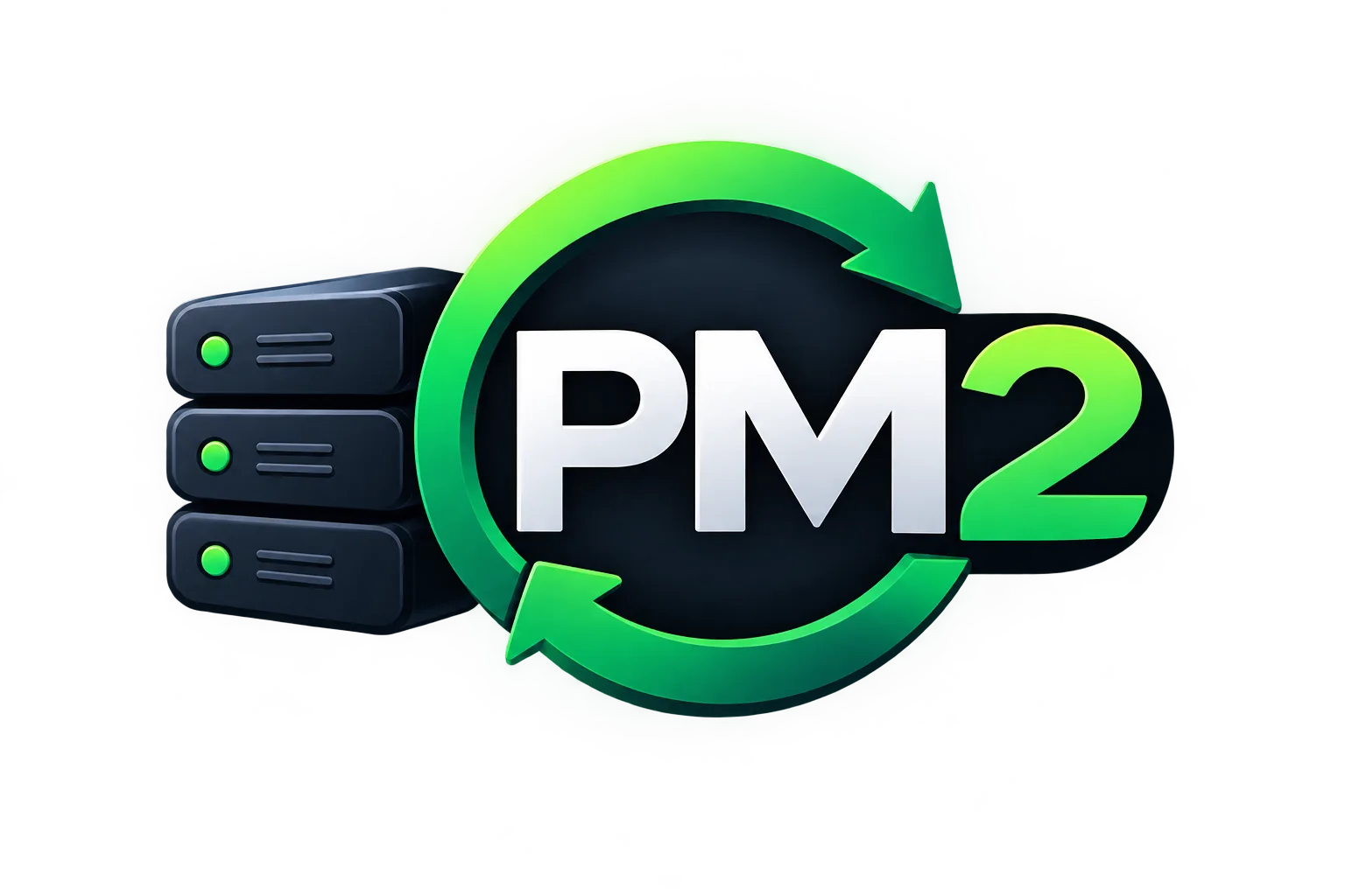 PM2 logo